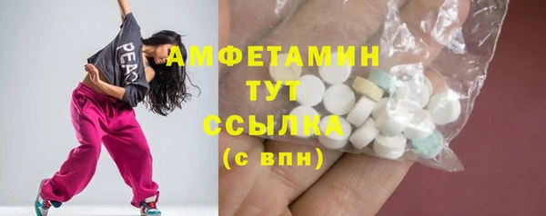 мет Алексин