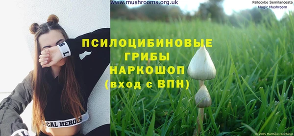 мет Алексин