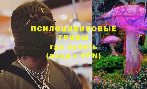 мет Алексин